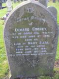 image of grave number 171313